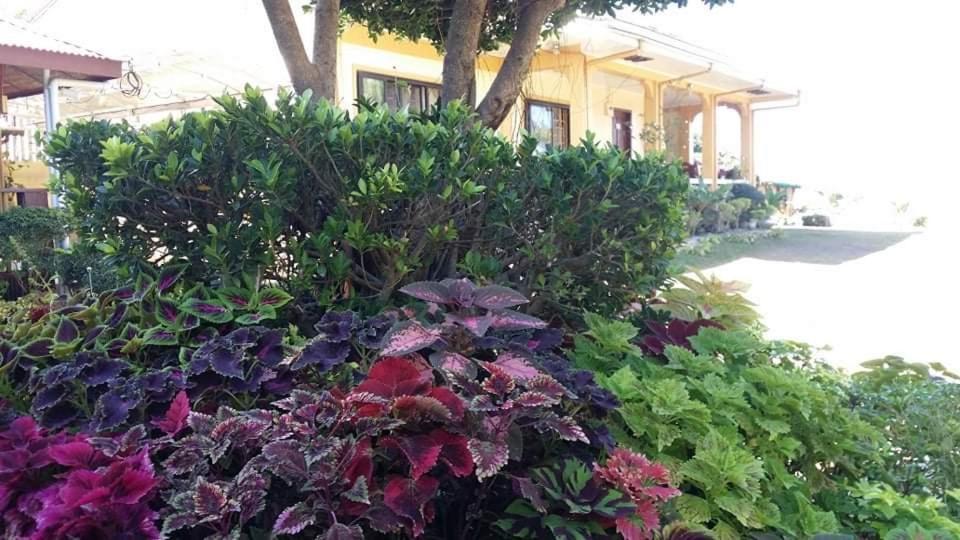 סן חואן Sea Breeze Beachfront Home And Cottages מראה חיצוני תמונה