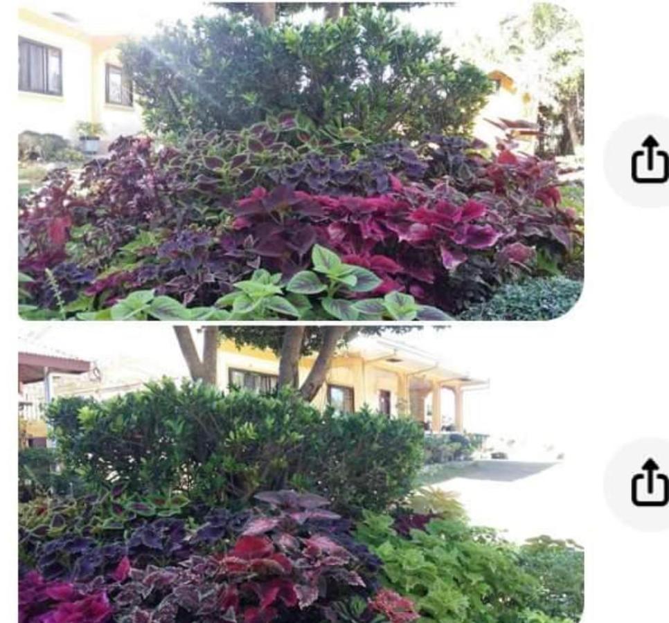 סן חואן Sea Breeze Beachfront Home And Cottages מראה חיצוני תמונה